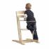 BABYDAN СТОЛЧЕ ЗА ХРАНЕНЕ DANCHAIR NATURAL BABYDAN СТОЛЧЕ ЗА ХРАНЕНЕ DANCHAIR NATURAL