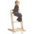 BABYDAN СТОЛЧЕ ЗА ХРАНЕНЕ DANCHAIR NATURAL BABYDAN СТОЛЧЕ ЗА ХРАНЕНЕ DANCHAIR NATURAL