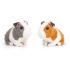 Keel Toys, Плюшена играчка, Морско свинче със звук, 16 см сиво Keel Toys, Плюшена играчка, Морско свинче със звук, 16 см сиво