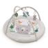 Активна гимнастика Kinderkraft COZYPLAY 