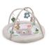 Активна гимнастика Kinderkraft COZYPLAY 