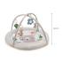 Активна гимнастика Kinderkraft COZYPLAY 