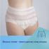 Бикини 2 в 1 за след раждане с подложка Canpol babies, 5бр, L/XL