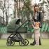 Бебешка количка 2 в 1 Lorelli Venice GREEN