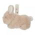 Активна Гимнастика с Арки Little Dutch Newborn Natural