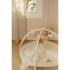 Активна Гимнастика с Арки Little Dutch Newborn Natural