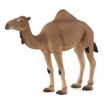 Фигурка за игра и колекциониране Mojo ANIMAL PLANET Едногърба камила
