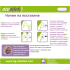 Коректор за отделени уши Otostick BABY