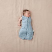 Спален чувал ergoPouch Jersey 0-3 м 2.5 TOG Водни кончета