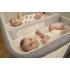 Сгъваема детска кошара за близнаци Chicco Next2Me Twin