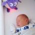Помощник за сън със сензор за плач и светлина Овцата Ewan DELUXE Purple