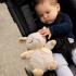 Музикална плюшена играчка Cloud B - Овцата On The Go Музикална плюшена играчка Cloud B - Овцата On The Go