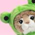 Плюшено коте Мейн Кун Принц 23 см Studio Pets