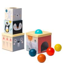 Образователна игра, Taf Toys Сортер за подреждане Северен полюс
